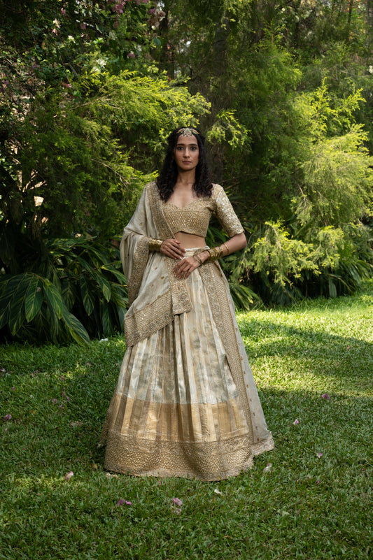 Gold & Silver Kanjeevaram Pleated Lehenga